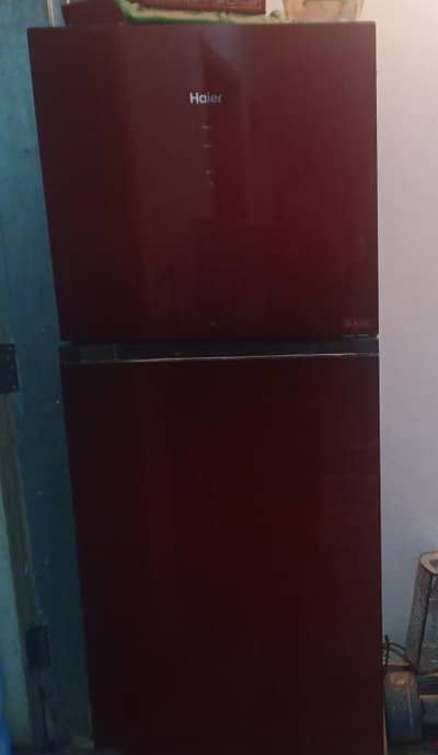 Haier  refrigerator and freezer