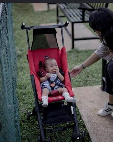 imported cabin friendly stroller