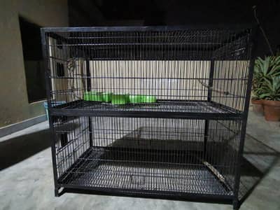 bird cage