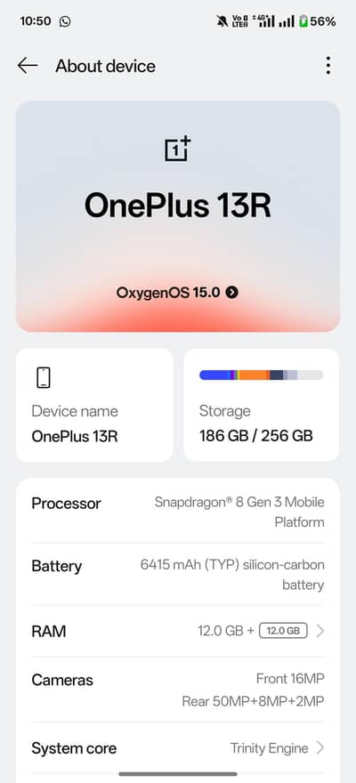 One Plus 13R
