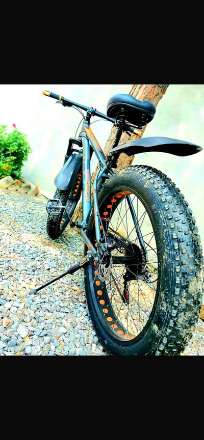 Mountain Bike