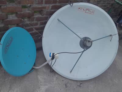 Dish.