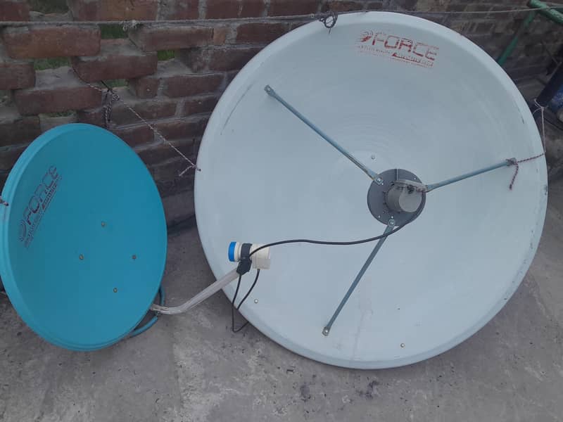 Dish. 1