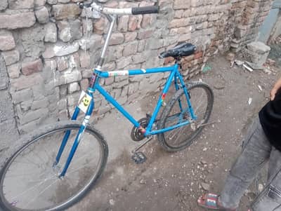 bicle