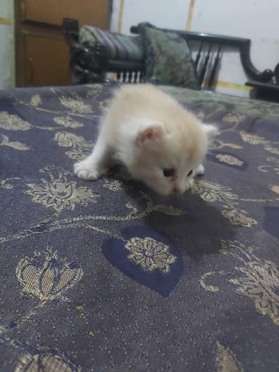 for sale