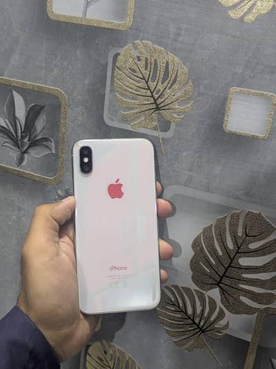 Apple iPhone X