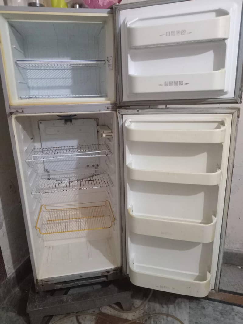 frige 1