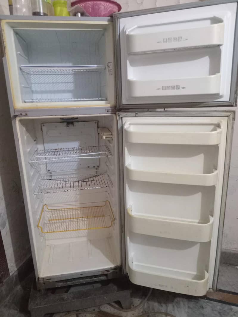 frige 2