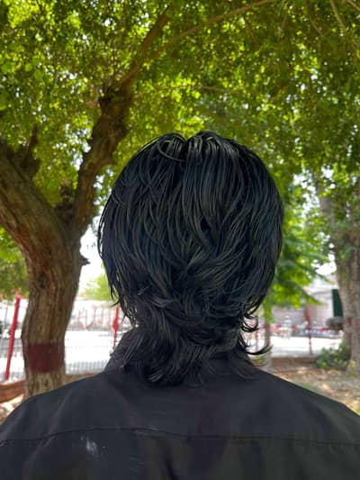 Shahzaib Qureshi