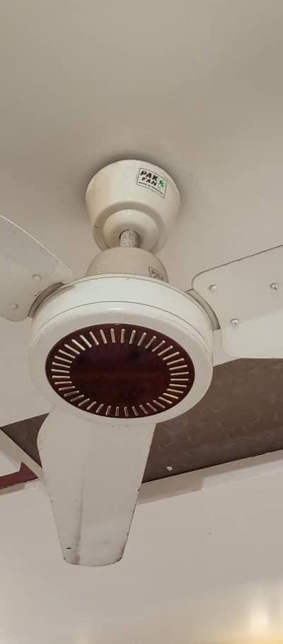 celling fan