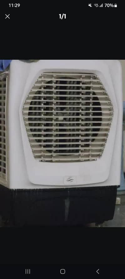 Royal room cooler with ice bottles