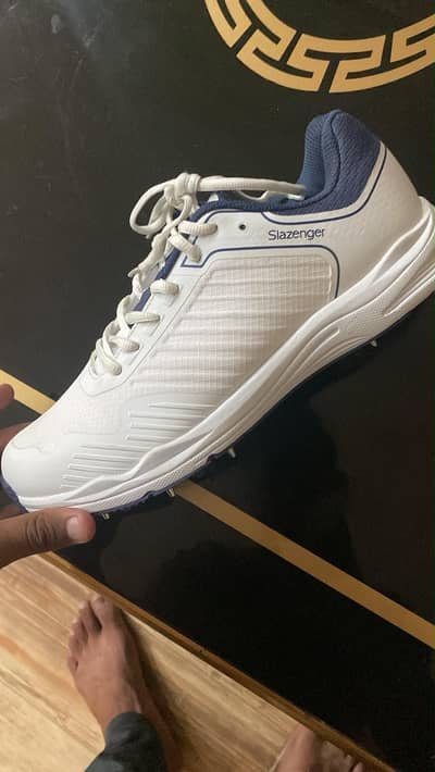 Cricket Spikes Shoes