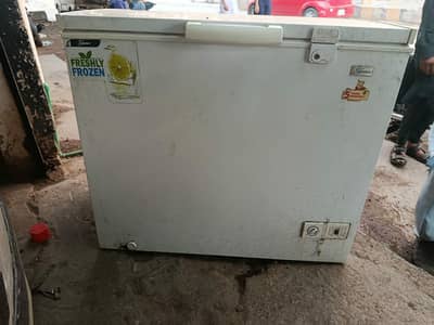 Signature Deep Freezer