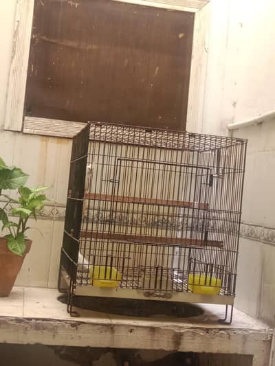 Cage 2x2