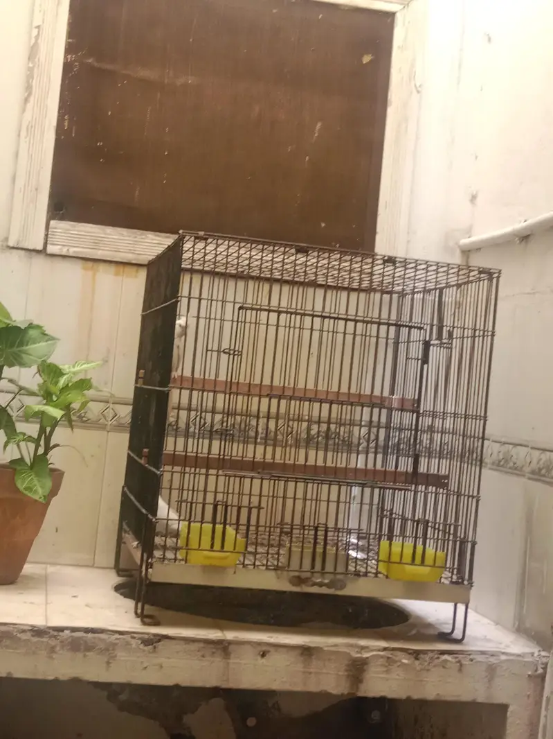 Cage 2x2 — photo 2