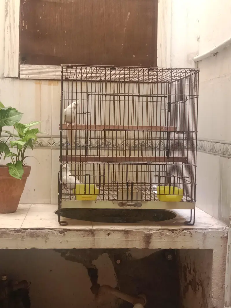 Cage 2x2 — photo 3