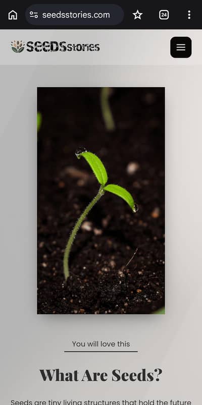 Blogging website for sale