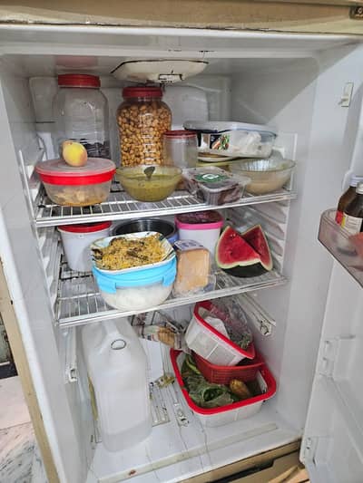 waves fridge
