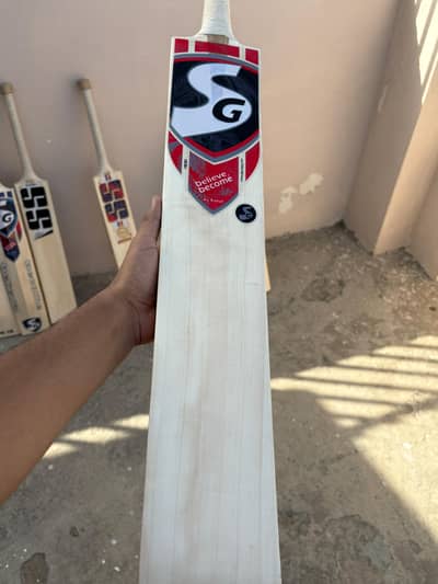 A grade Kashmir willow veryy budget friendly