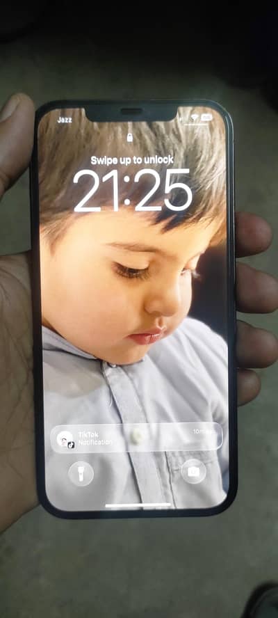 Apple iPhone 12 Pro Max