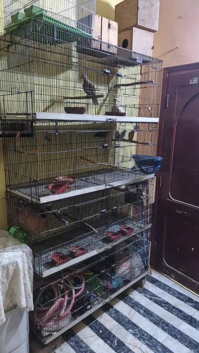 cage for sale 8 portion