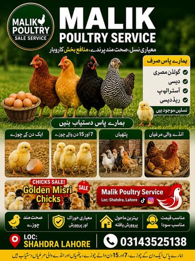 Golden Misri 600 650 grm pathiya patha mix available