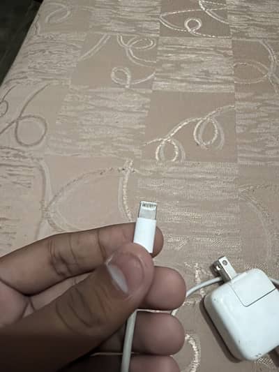 Apple original charger lighting port