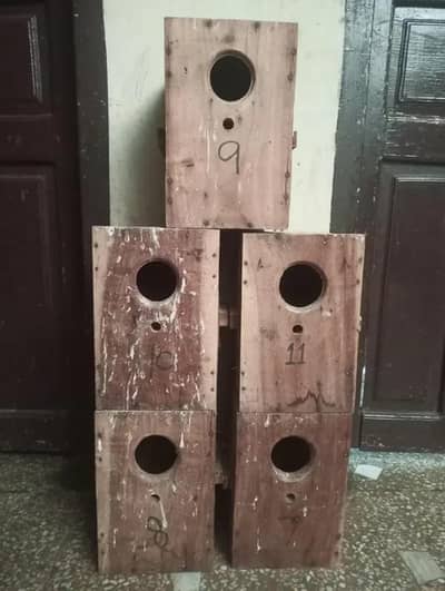 love birds/Java Finches Boxes