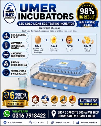 70 Eggs incubator | Hatching machine | automictic incubator | Brooder