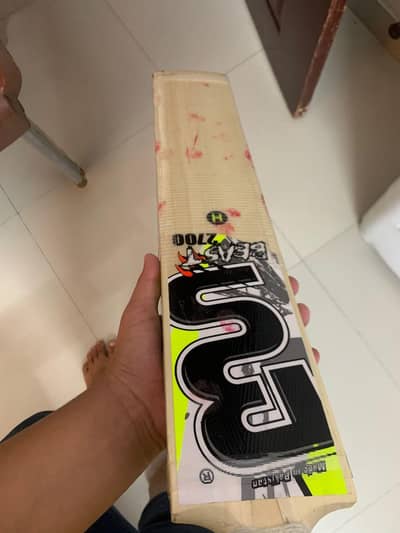 bs beast bat