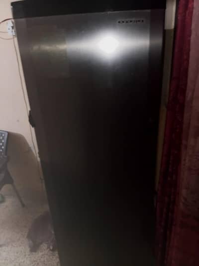 panatron freezer condition 10by 7