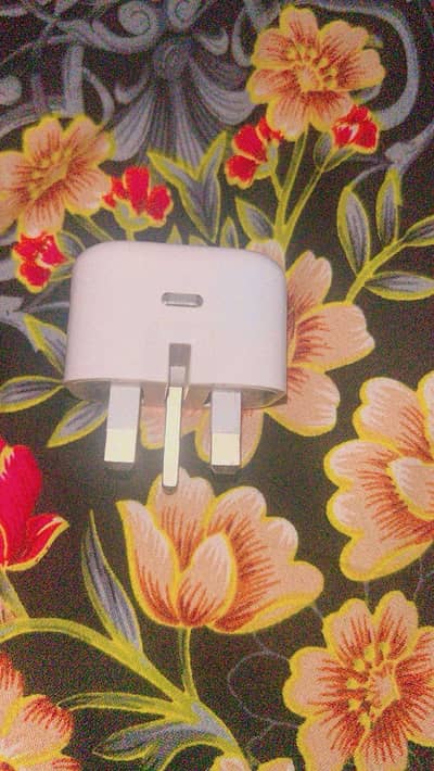 iphone original charger