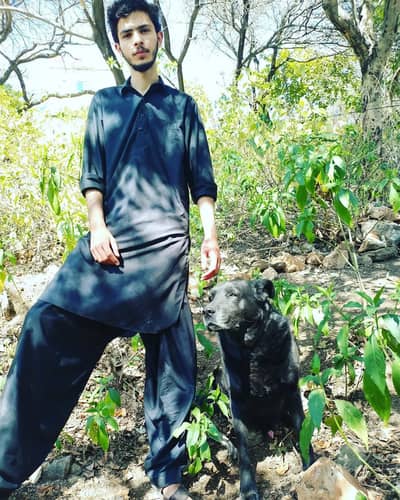 Lebrador dog pubby for sale