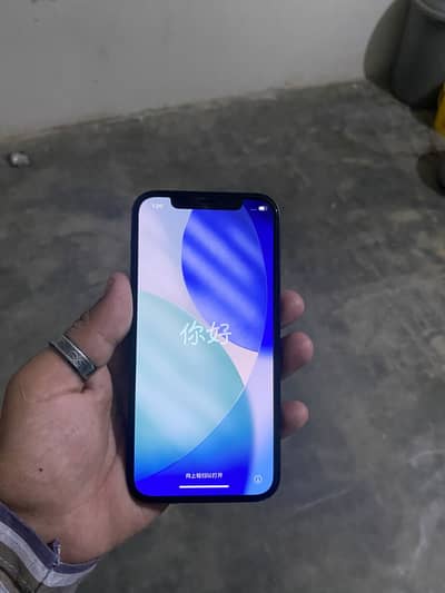 Apple iPhone 12