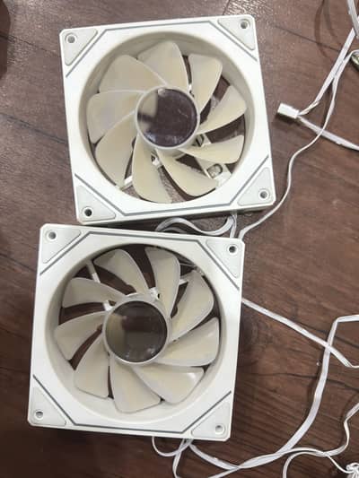 Argb fan