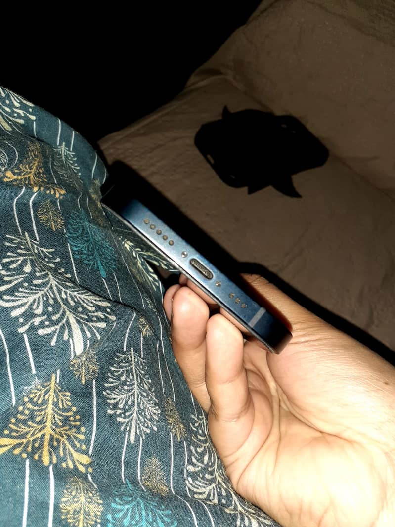 Apple iPhone 12 1