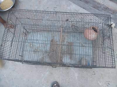 1.5 by 3 cage