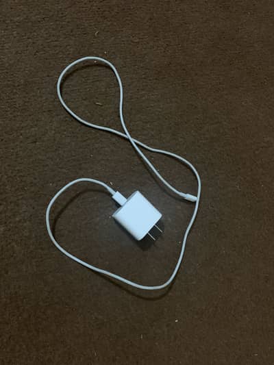iPhone charger