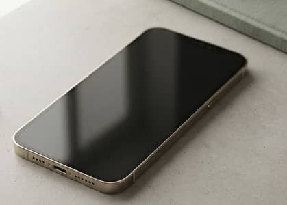 Apple iPhone 12 Pro PTA