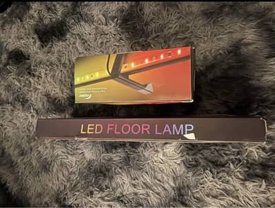 Govee floor lamp