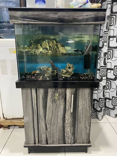 Fish Aquarium