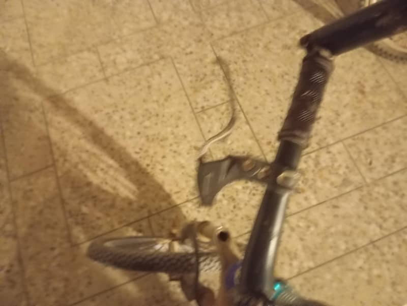 cycle 1