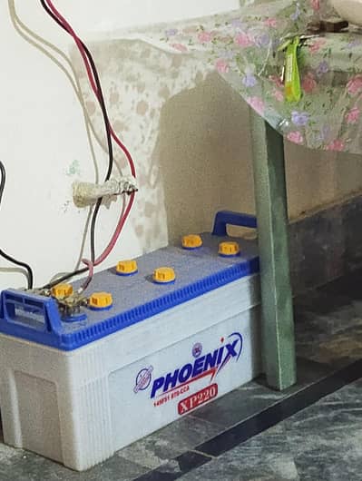Phoenix 220