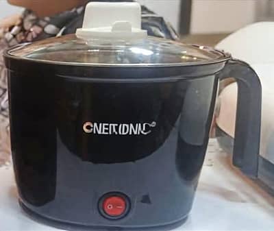Electric Cooking Pot with Steamer