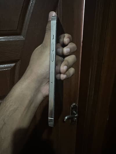Apple iPhone 12 Pro Max