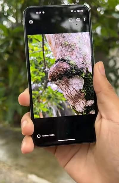 Google Pixel 5 8/128 non pta Chance phone sale