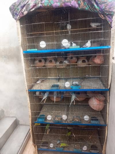 donon 20000 ke. . . . ek 10000 ka