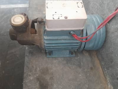 monoblock pump chuha pump