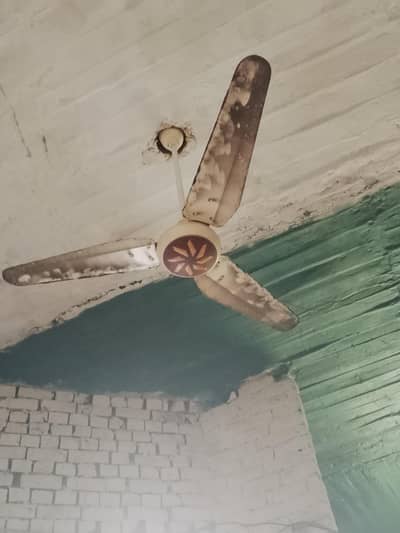 3 celling fan
