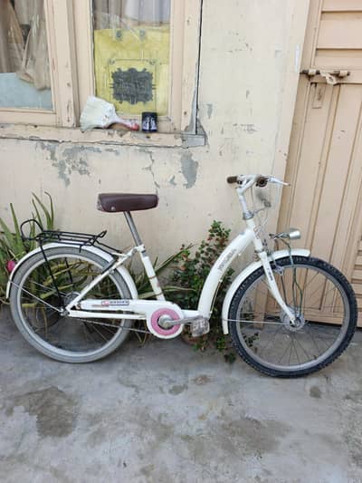 22 size original japani